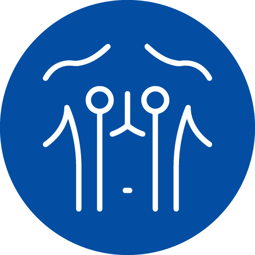 Icon 2